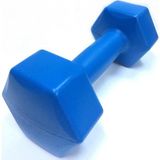 Yanaşık Spor Malzemeleri Yanaşık Spor 1 kg Plastik Dambıl Mavi Renkli Kol, Omuz ve Sırt Kasları İçin Etkili Fitness Aleti