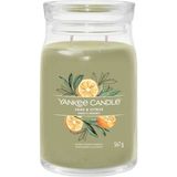 Yankee Candle Sage And Citrus Yeşil Büyük Mum 567 G - Standart