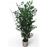 Yapay 150cm benjamın yogun yaprak metal saksı svm.1350