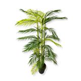 Yapay Ağaç 3 Gövde Bambu Çikas 120 Cm Üretim Saksısı