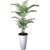 Yapay Ağaç AREKA 150cm kumsal plastık saksı svm.1090