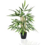 Yapay Ağaç Bambu Ağacı 4 Gövdeli 50X35 Siyah Plastik Saksılı