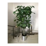Yapay Ağaç Çınar Ağaç 180 cm Metal Saksıda