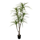 Yapay Ağaç Dracaena Ağacı 8Gövdeli 180cm Premium Kalite