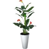 Yapay Ağaç Gala Ağacı Salon Bitkisi 160cm 20 Yaprak kumsal plastık saksıda svm.1070