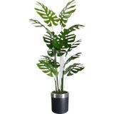 Yapay Ağaç Monstera Deve Tabanı Ağacı 180 cm 16 Yaprak siyah gümüş saksı svm.1025