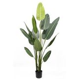 Yapay Ağaç Muz Ağacı Salon Bitkisi 200cm 21Yaprak