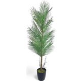 Yapay Ağaç Palmiye 155*50Cm 30Yaprak Areka Ağacı Siyah Saksıda Tek Gövdeli