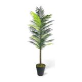 Yapay Ağaç Palmiye 160*70Cm 36 Yaprak Areka Ağacı Siyah Saksıda Tek Gövdeli