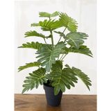 Yapay Ağaç Salon Bitkisi Syngonium 70 Cm 18 Yaprak Antrasit Saksı