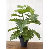Yapay Ağaç Salon Bitkisi Syngonium 70 Cm 18 Yaprak Antrasit Saksıda