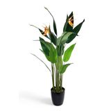 Yapay Ağaç Starliçe 160Cm Horoz İbiği Çiçekli Bird Of Paradise Artificial Plants
