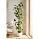 Yapay Alacalı Ficus Ağacı 3 Bambulu 110 Cm 27 33 Beyaz Küre Saksılı