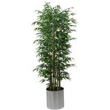Yapay Bambu Ağacı 185 Cm