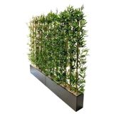 Yapay Bambu Ağacı 2 Metre Boyundadır.set Halinde Ahşap Antrasit Gri Saksılarda Bamboo Orijinal bambo