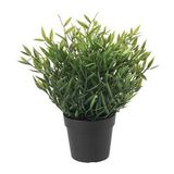 Yapay Bambu Bitkisi 9 Cm Yapay Bitki Ev Dekorasyon