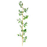 Yapay Bambu Sopası 10 Yapraklı 150 Cm Yapay Çiçek Bambu Duvarı
