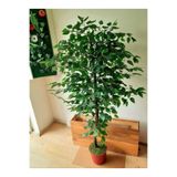 Yapay Benjamin Ağacı 1.60 Mt Boy Ficus Benjamia Islak Canlı Doku Doğal Görünüm benjamin 2
