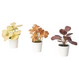 Yapay bitki, kahverengi, 6 cm, 3 adet, yaprak, iç/dış mekan