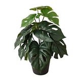 Yapay Bitki Monstera