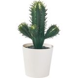 Yapay Bitki, Yeşil, 6 Cm, Kaktüs, Iç/dış Mekan - Çok Renkli