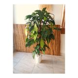 Yapay Ceviz Ağacı 60 Cm Yapay Ağaç Büyük Yeşil Geniş Yaprak ceviz.11