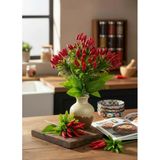 Yapay Çiçek 3Lü Set Kırmızı Biber Demeti 35Cm 81 Biberli Vitrin
