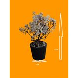 Yapay Çiçek Ağac Boyutu 4 Cm X13 Cm