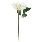 Yapay çiçek, beyaz, 30 cm, Yıldız çiçeği, iç/dış mekan