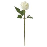 Yapay çiçek, beyaz, 40 cm, Yıldız çiçeği, iç/dış mekan