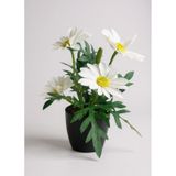 Yapay Çiçek Beyaz Margarit Papatya Siyah Saksıda Dekoratif Yapay Çiçek 30*25Cm