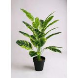 Yapay Çiçek Çizgili Muz Yapraklı Alaca Starliçe Salon Çiçeği 18Dal 80*50Cm Yapay Bitki