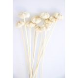 Yapay Çiçek Deposu 10lu Paras Ped Bleach On Stem 45 Cm Beyaz