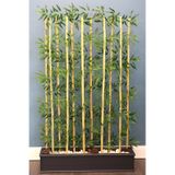 Yapay Çiçek Deposu 11 Bambulu Ahşap Saksıda Bambu Seperatör 20x100x170cm