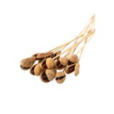 Yapay Çiçek Deposu 12li Benzo Tropic Fruit Kuru Çiçek Naturel