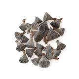 Yapay Çiçek Deposu 25li Paket Mini Lotus Plant Gerçek Lotus