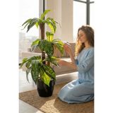 Yapay Çiçek Deposu Bodur Yapay Ağaç Cordyline 95 Cm Model 1