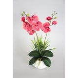 Yapay Çiçek Deposu Dekoratif 2li Mini Yapay Islak Orkide Tanzimi 50 Cm Pastel Fuşya