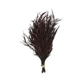 Yapay Çiçek Deposu Dekoratif Kurutulmuş Kahverengi Mini Bitki 20 Cm Gavellia Leaves