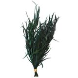 Yapay Çiçek Deposu Dekoratif Kurutulmuş Yeşil Mini Bitki 20 cm Gavellia Leaves Yeşil