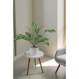 Yapay Çiçek Deposu Gri Saksılı Yapay Bitki 12 Yapraklı Damalı Model Bitki 40 cm Yeşil