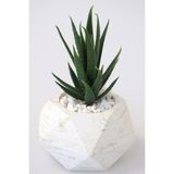 Yapay Çiçek Deposu Handmade Beton Saksıda Yapay Succulent Sukulent 16CM Taşlı Model (Taş)