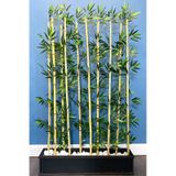 Yapay Çiçek Deposu Kumaş Yapraklı Ahşap Saksıda Bambu Seperatör 20x100x180cm