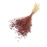 Yapay Çiçek Deposu Kuru Çiçek Luna (keten) Otu 60 gr Kahverengi