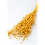 Yapay Çiçek Deposu Kuru Çiçek Luna (keten) Otu 60gr Gold