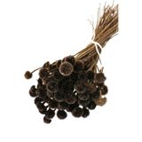 Yapay Çiçek Deposu Kuru Çiçek Papatya Otu Demeti Naturel