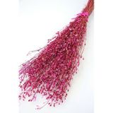 Yapay Çiçek Deposu Kuru Çiçek Tomurcuk Otu Demeti 45 Cm Pembe