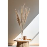 Yapay Çiçek Deposu Kuru Çiçek Uzun 10lu Broom Grass 108 cm
