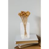Yapay Çiçek Deposu Kurutulmuş Çiçek 20li Mini Lotus 28 cm Gold