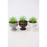 Yapay Çiçek Deposu Mini Antik Beton Meşale Saksıda Yapay Succulent 3lü Set